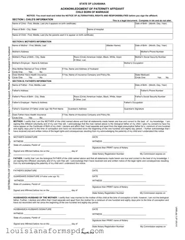 Official Louisiana Paternity Template in PDF