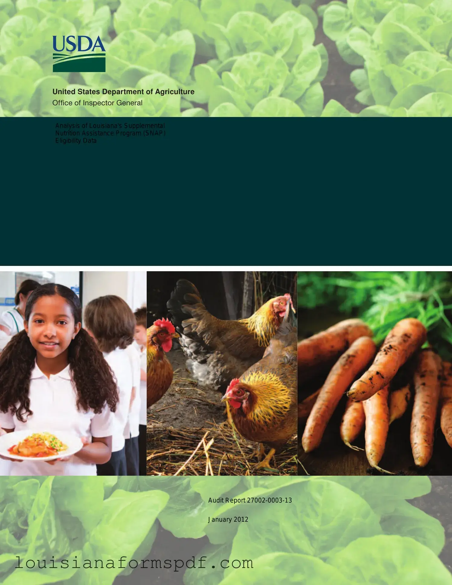 Official Snap Louisiana Template in PDF